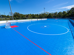 IceCourt Inline Hockey Rink